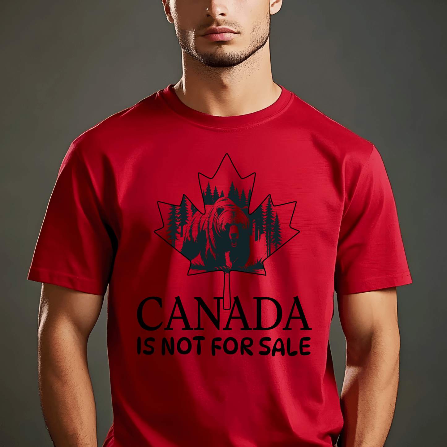 Ink and Charms Designs Sweatshirt Canada Is Not for Sale Apparel Collection