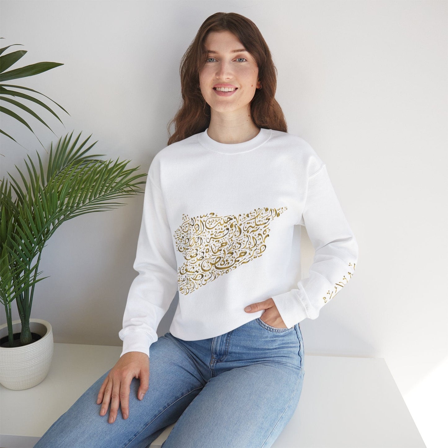 Printify Sweatshirt Crewneck Sweatshirt - Syria map with cities