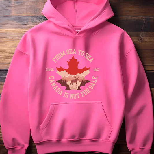 Ink and Charms Designs Sweatshirt Hoodie / Black / S Canada Is Not for Sale Apparel Collection