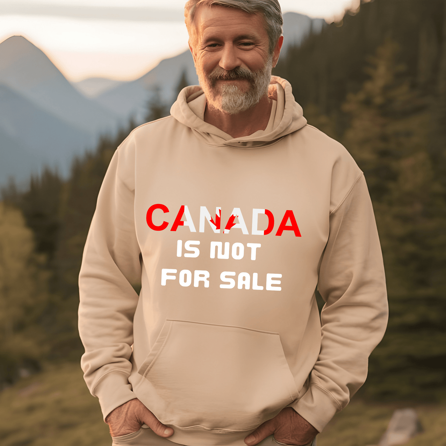Ink and Charms Designs Sweatshirt Hoodie / Grey / S Canada Is Not for Sale Apparel Collection