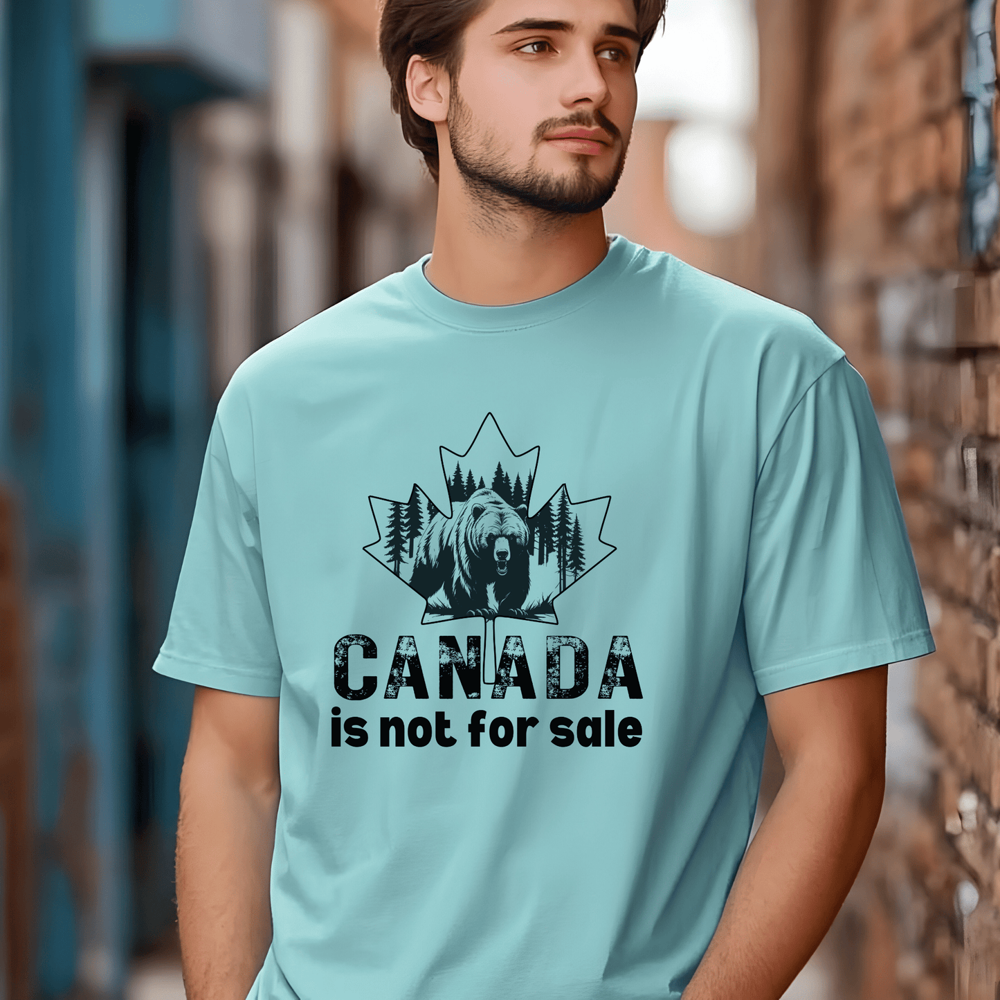 Ink and Charms Designs Sweatshirt T-shirt / Blue / S Canada Is Not for Sale Apparel Collection