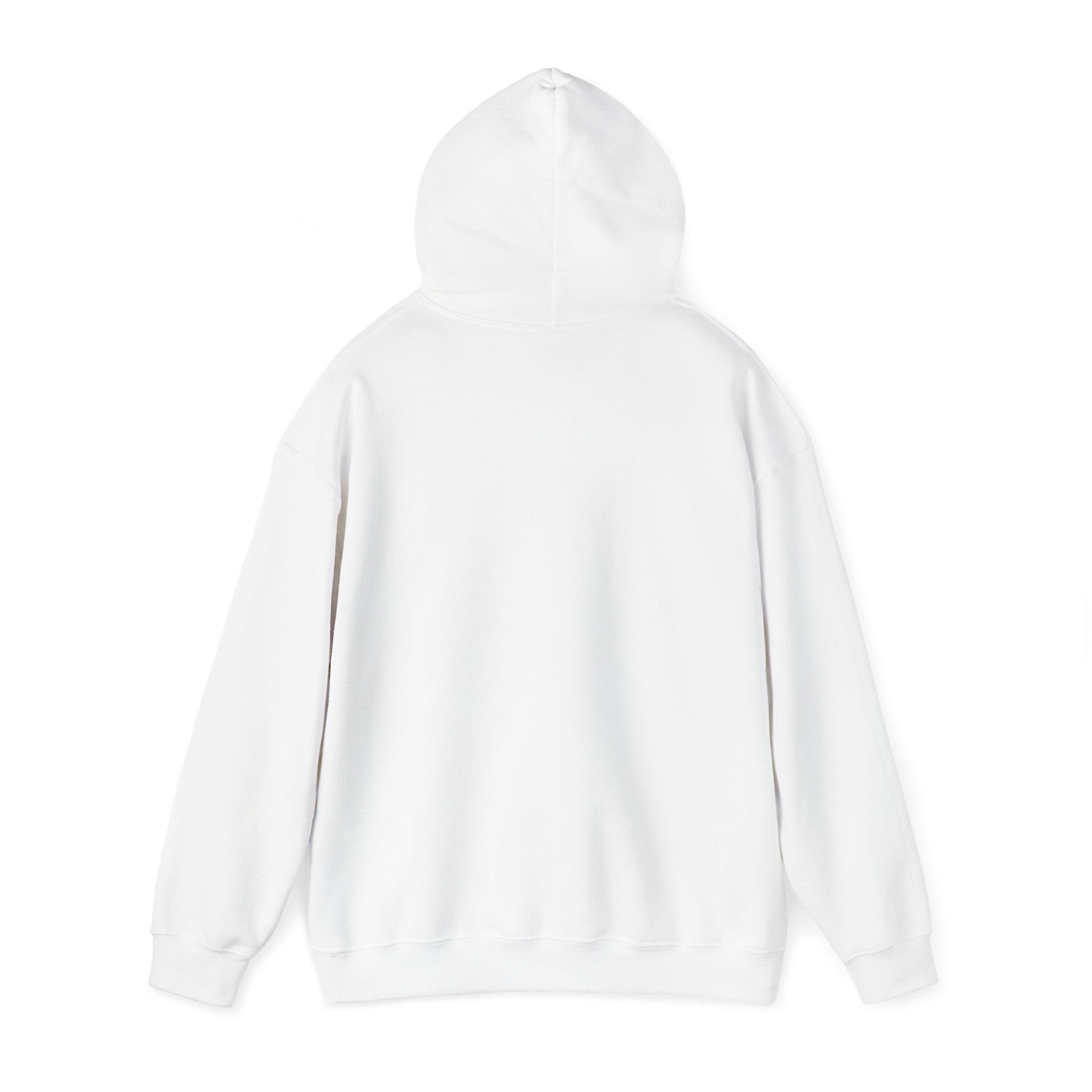 Ink and Charms Designs Hoodie Raccoon Hooded Sweatshirt with 'If I'm moody give me my foody' Quote