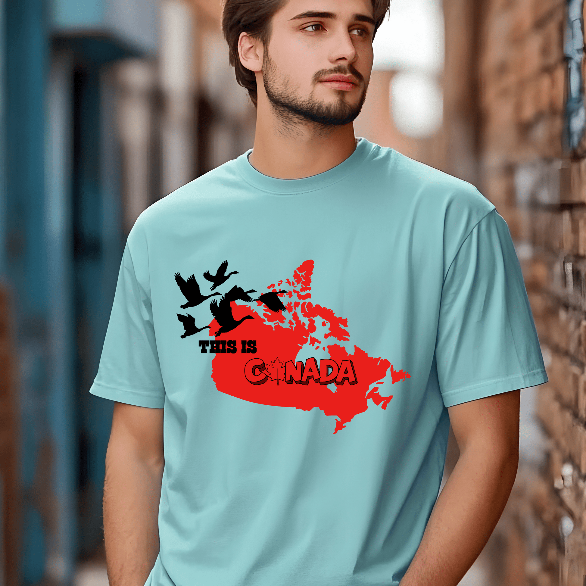 Ink and Charms Designs Sweatshirt T-shirt / White / S Proudly Canadian Collection: Mapping Our Spirit