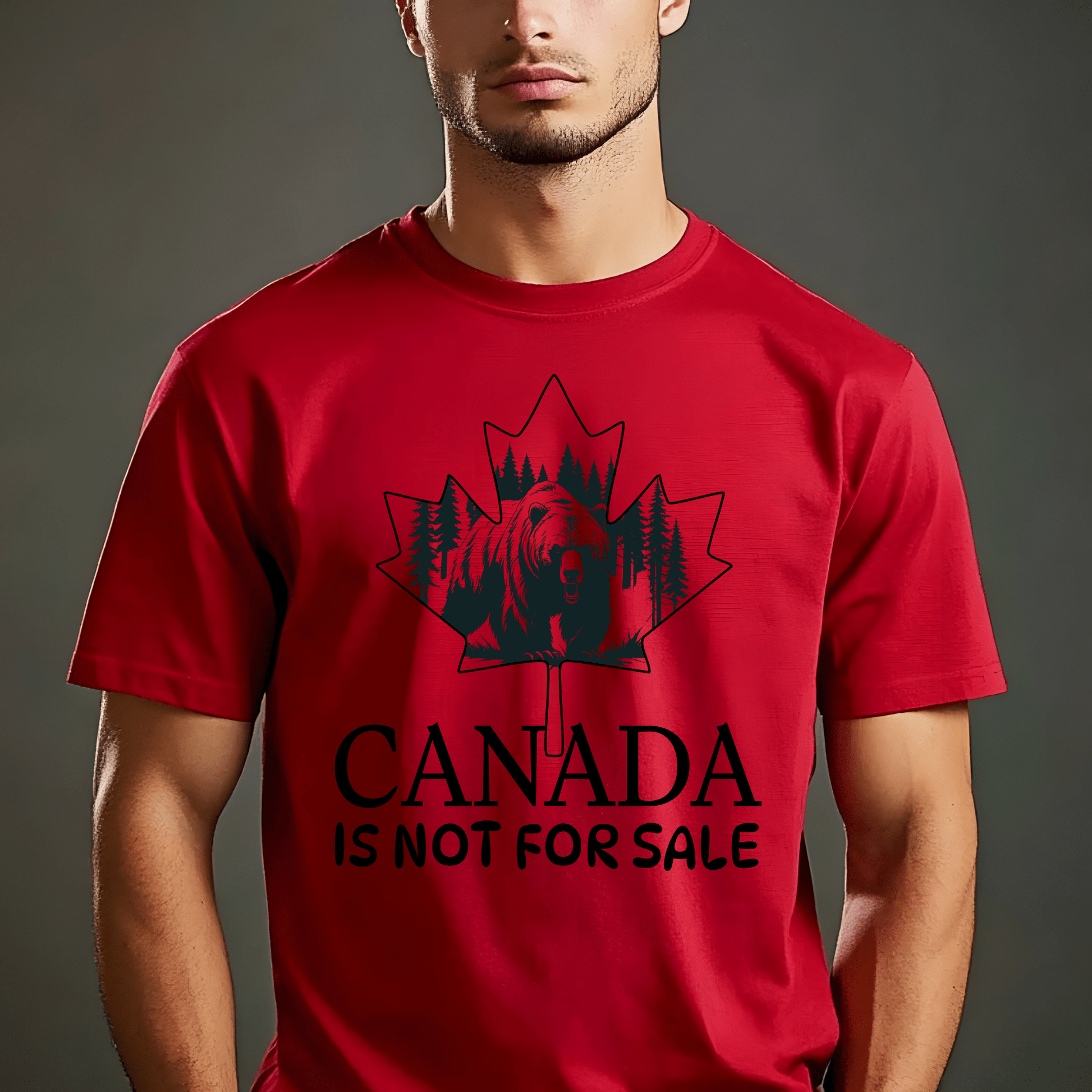 Ink and Charms Designs Sweatshirt Canada Is Not for Sale Apparel Collection