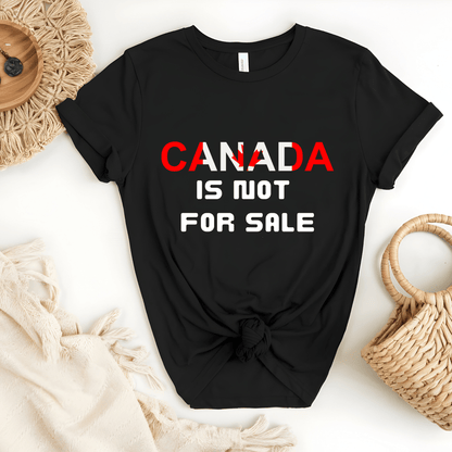 Ink and Charms Designs Sweatshirt T-shirt / Grey / S Canada Is Not for Sale Apparel Collection